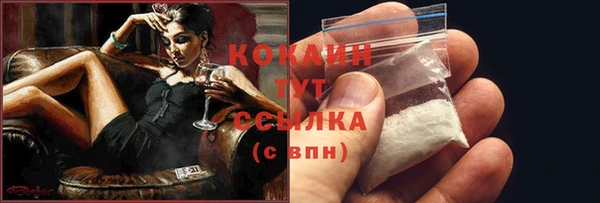 ГАЛЛЮЦИНОГЕННЫЕ ГРИБЫ Калининец