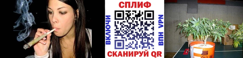 Конопля ГИДРОПОН  Будённовск 